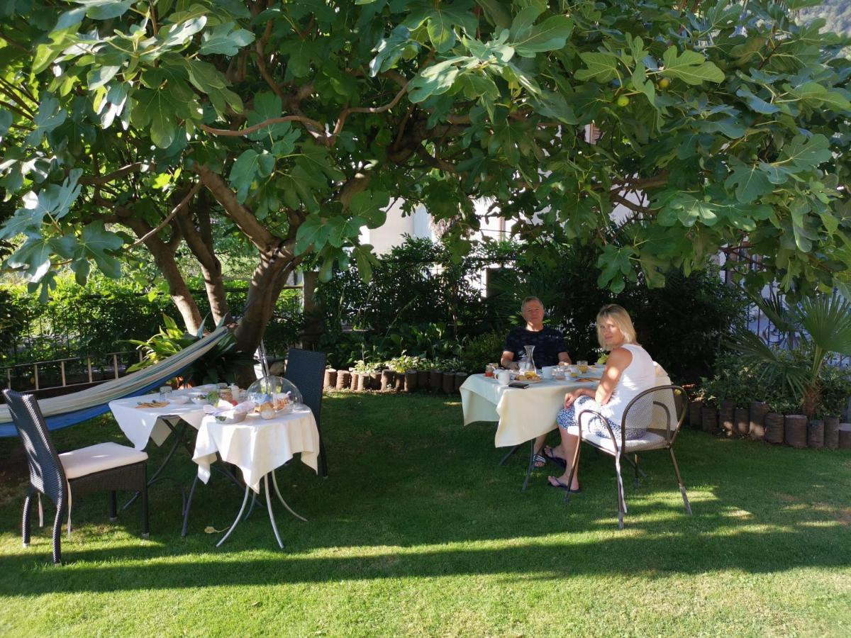 B&B Villa Dei Pini Cannobio Dış mekan fotoğraf