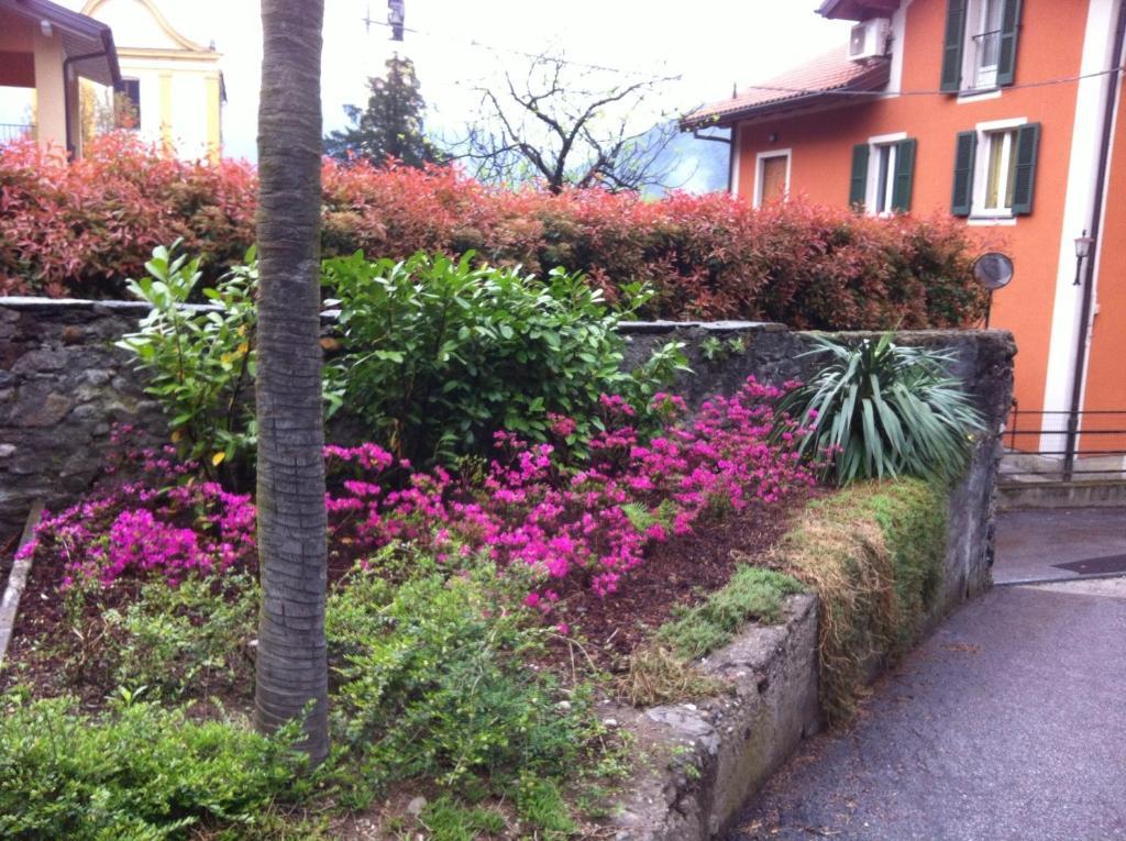 B&B Villa Dei Pini Cannobio Dış mekan fotoğraf