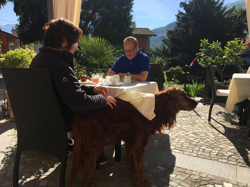 B&B Villa Dei Pini Cannobio Dış mekan fotoğraf