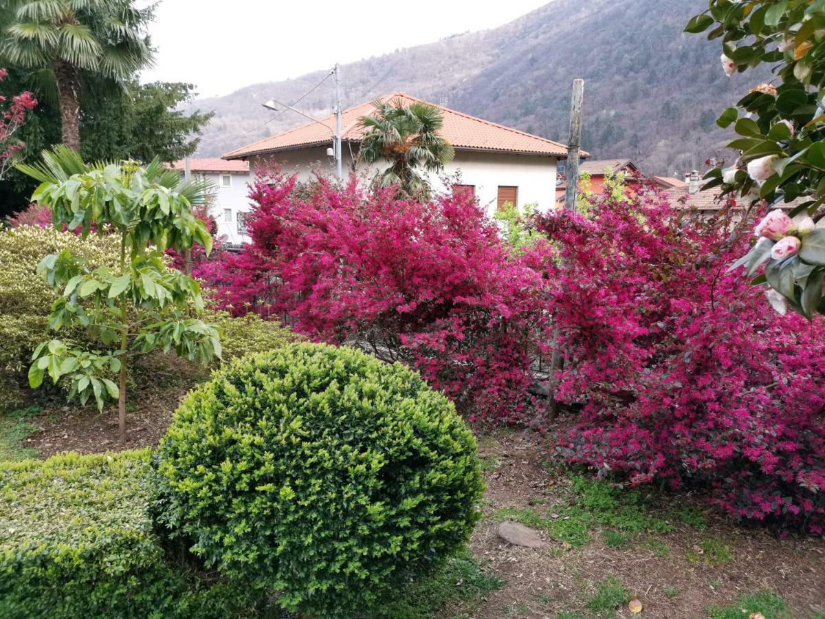 B&B Villa Dei Pini Cannobio Dış mekan fotoğraf